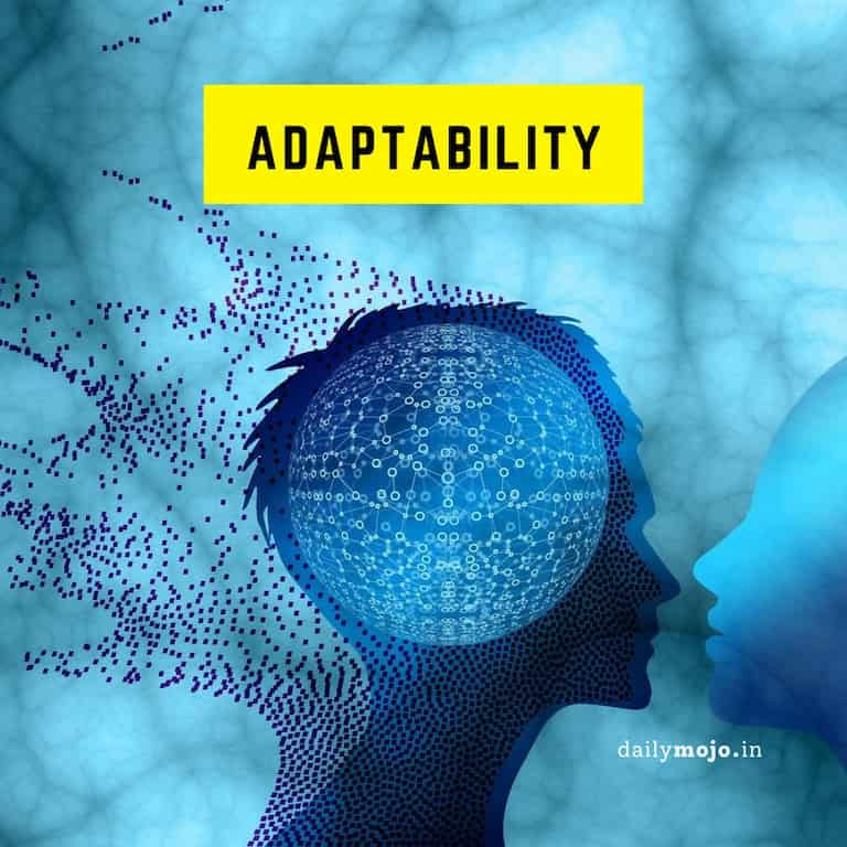 Adaptability