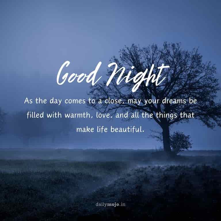 As the day comes to a close, may your dreams be filled with warmth, love, and all the things that make life beautiful. Good night!