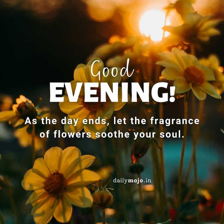 As the day ends, let the fragrance of flowers soothe your soul