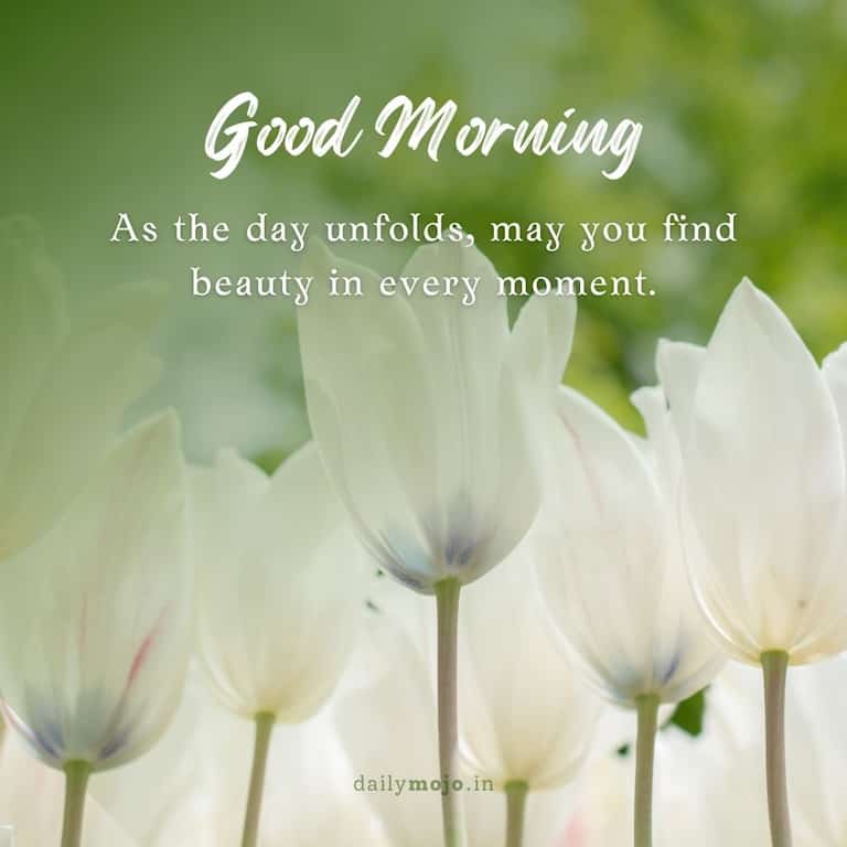 As the day unfolds, may you find beauty in every moment. Good morning!