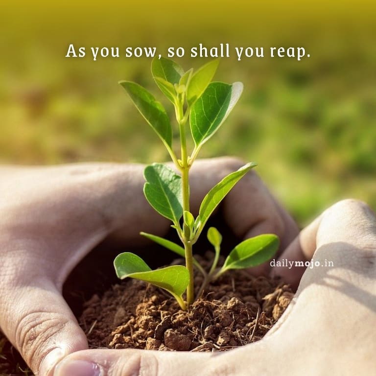 As you sow, so shall you reap.