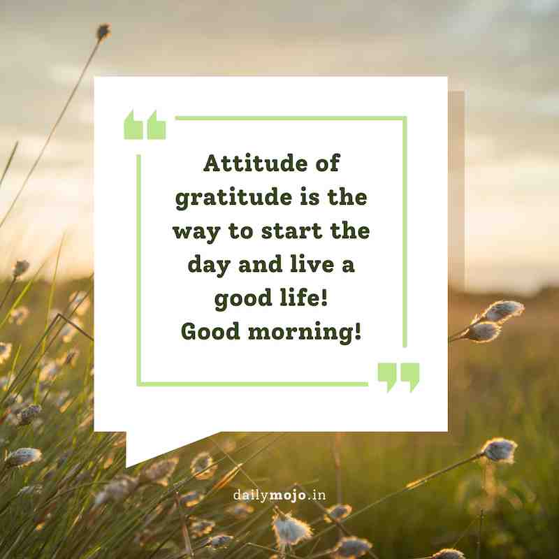 Attitude of gratitude is the way to start the day and live a good life! Good morning!
