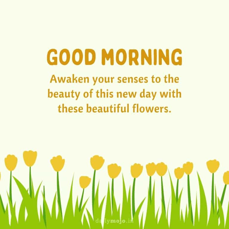 Awaken your senses to the beauty of this new day with these beautiful flowers. Good morning!