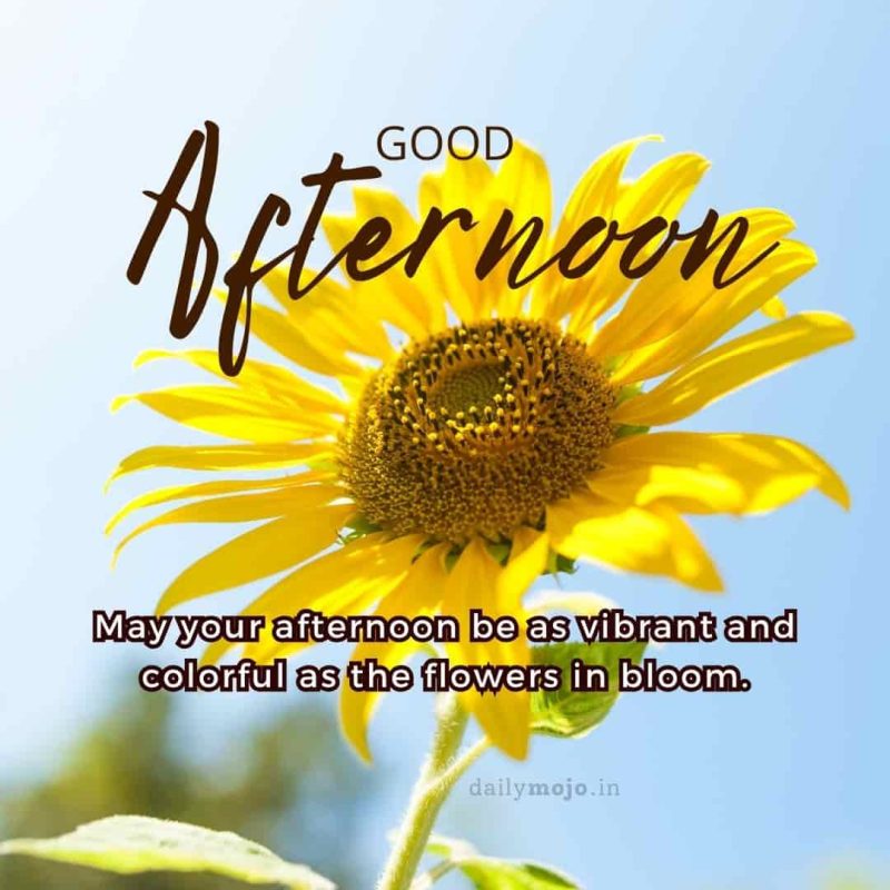 Good afternoon! May your afternoon be as vibrant and colorful as the flowers in bloom