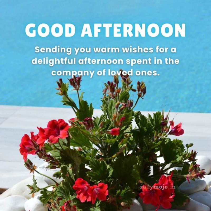 Sending you warm wishes for a delightful afternoon spent in the company of loved ones