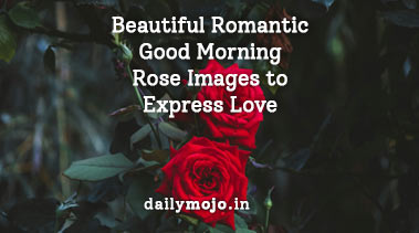 Beautiful Romantic Good Morning Rose Images to Express Love