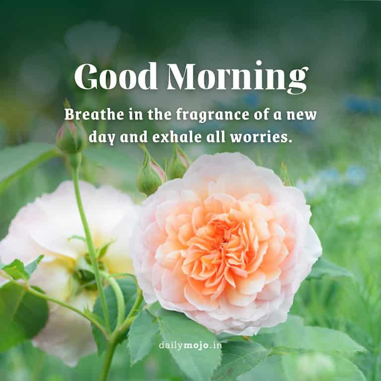 "Breathe in the fragrance of a new day and exhale all worries. Good morning!