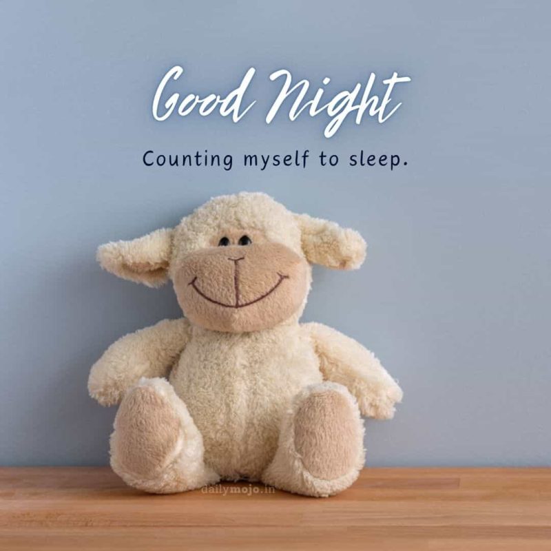 Sheep cartoon toy with message Counting myself to sleep