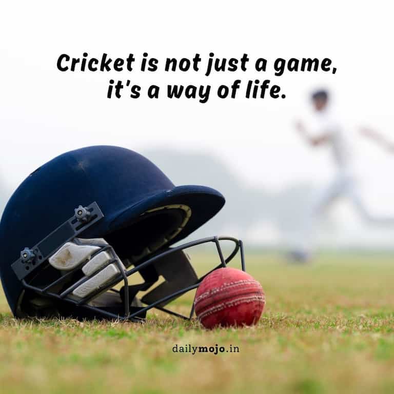 Cricket Quotes for Instagram Bio