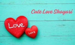 Cute Love Sayari Collection