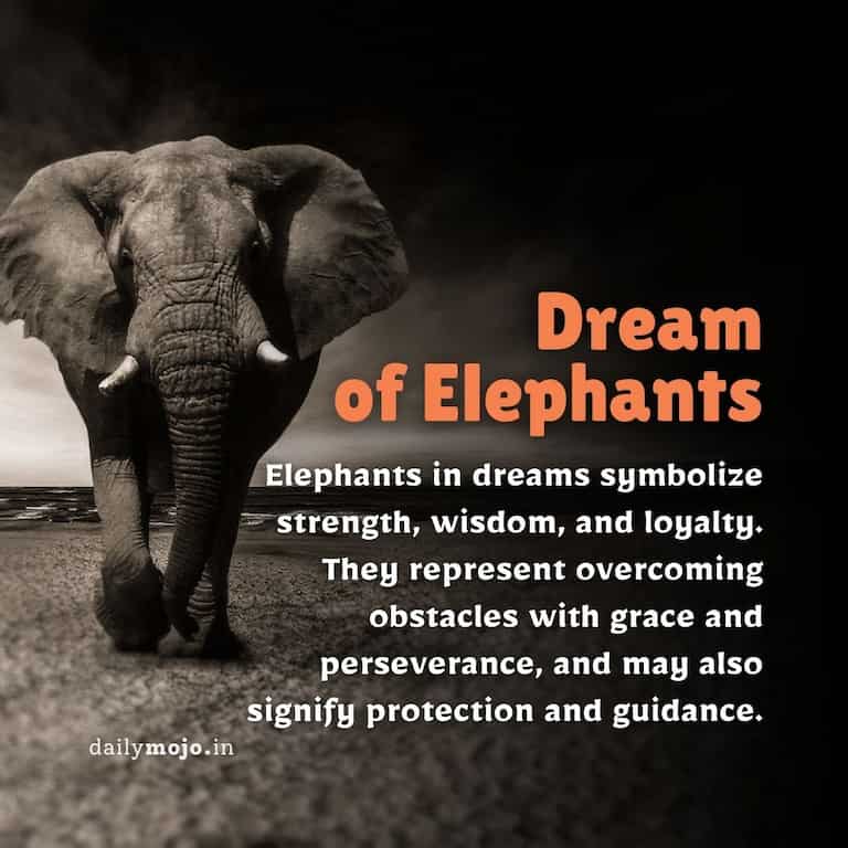 Dream of Elephants