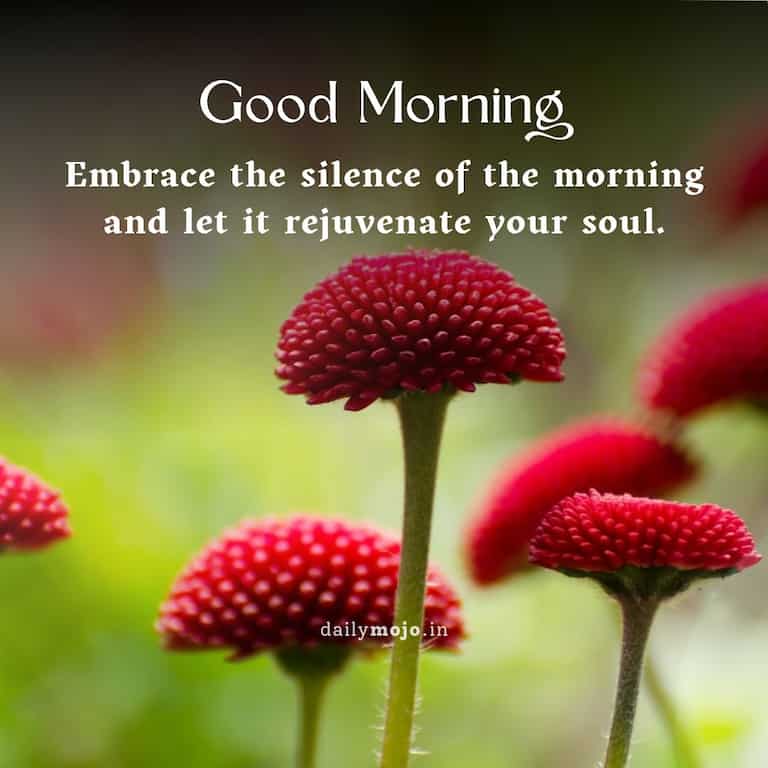 Embrace the silence of the morning and let it rejuvenate your soul. Good morning