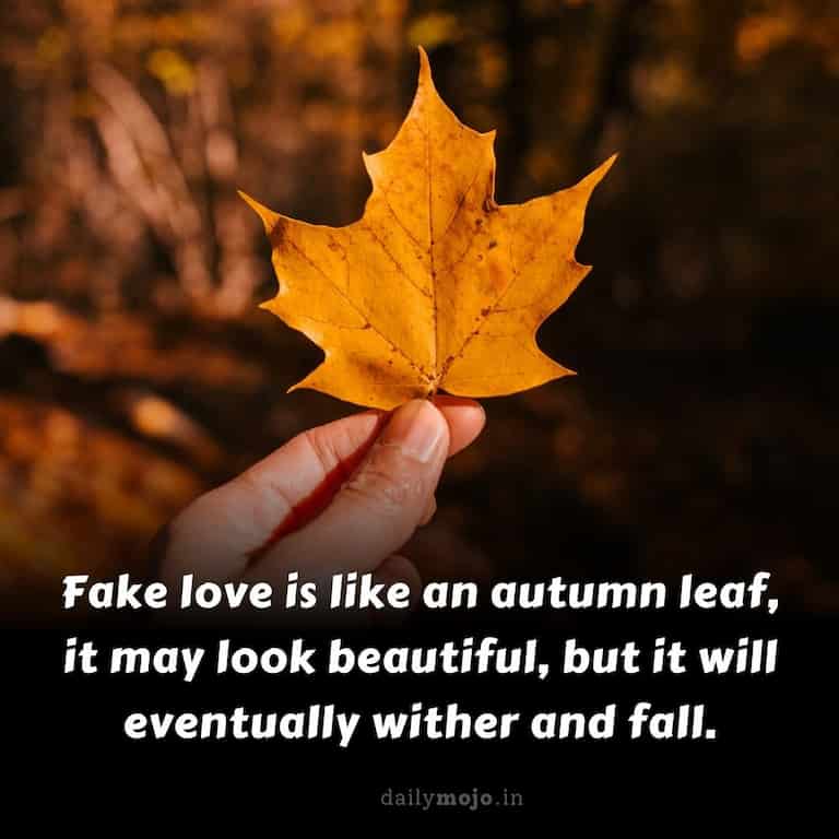 Fake love is like an autumn leaf, it may look beautiful, but it will eventually wither and fall