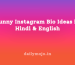 Funny Insta Bio in Hindi & English example for Instagram profile