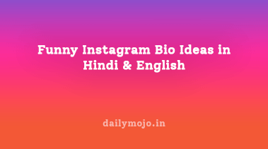 Funny Insta Bio in Hindi & English example for Instagram profile