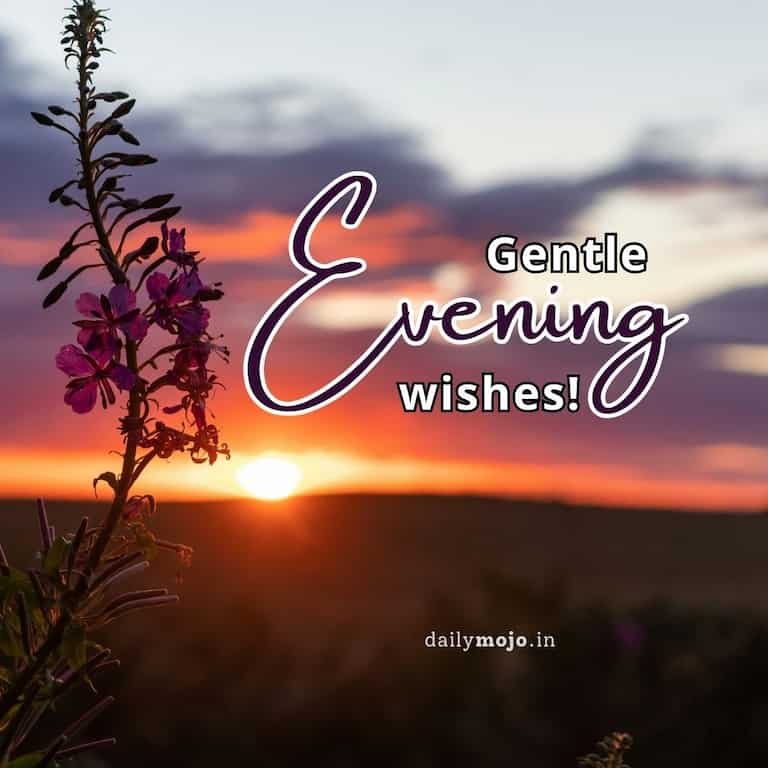 Gentle evening wishes