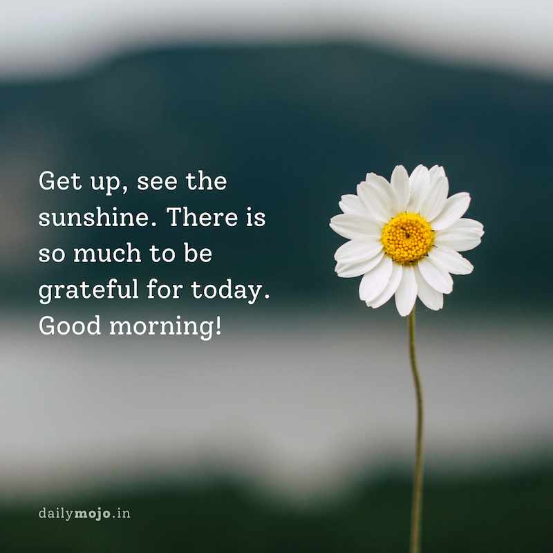 Get up, see the sunshine. There is so much to be grateful for today. Good morning!