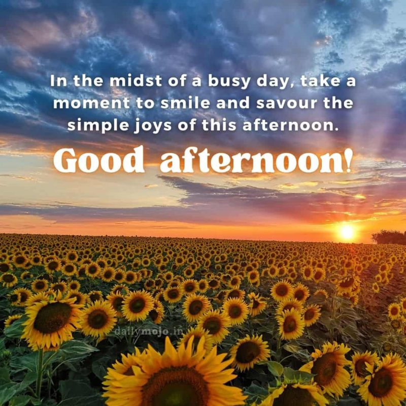 In the midst of a busy day, take a moment to smile and savour the simple joys of this afternoon
