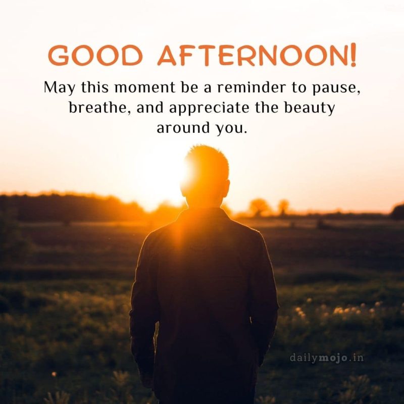 Good afternoon! May this moment be a reminder to pause, breathe, and appreciate the beauty around you.
