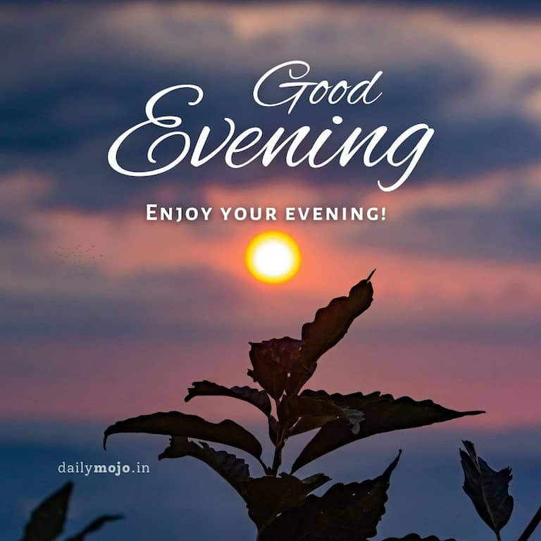 Enjoy your evening!