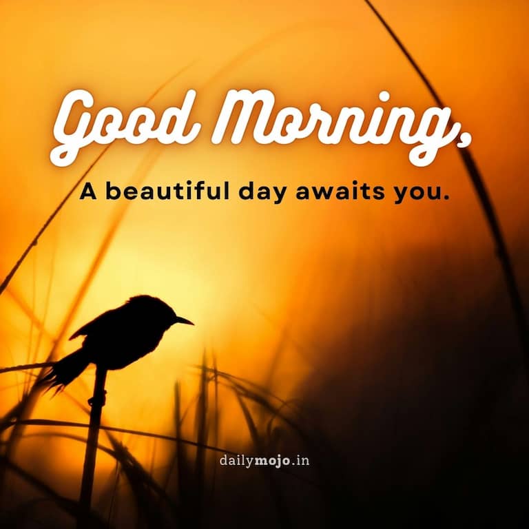 Good morning! a beautiful day awaits you