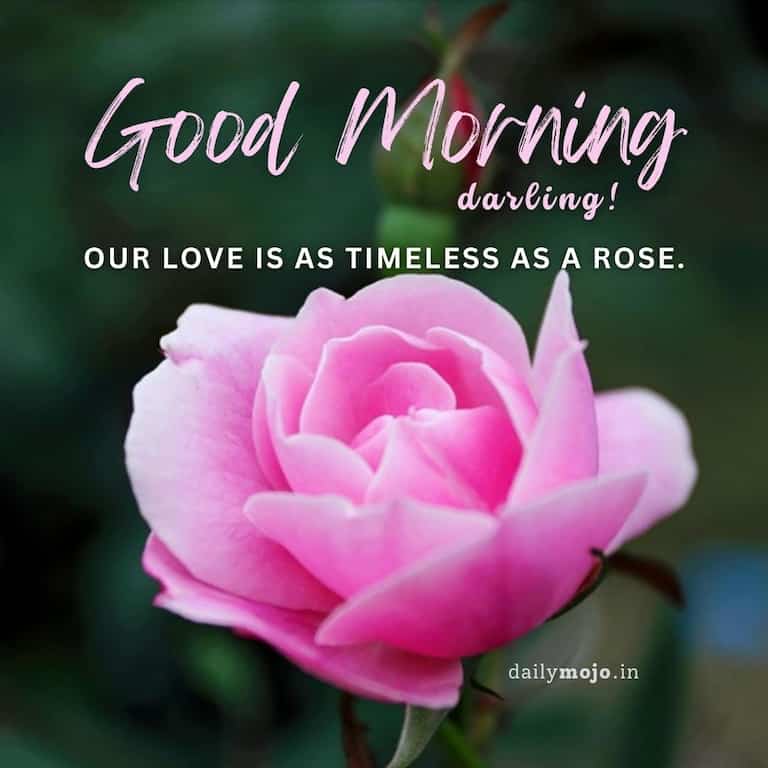 Good morning, darling! Our love is as timeless as a rose