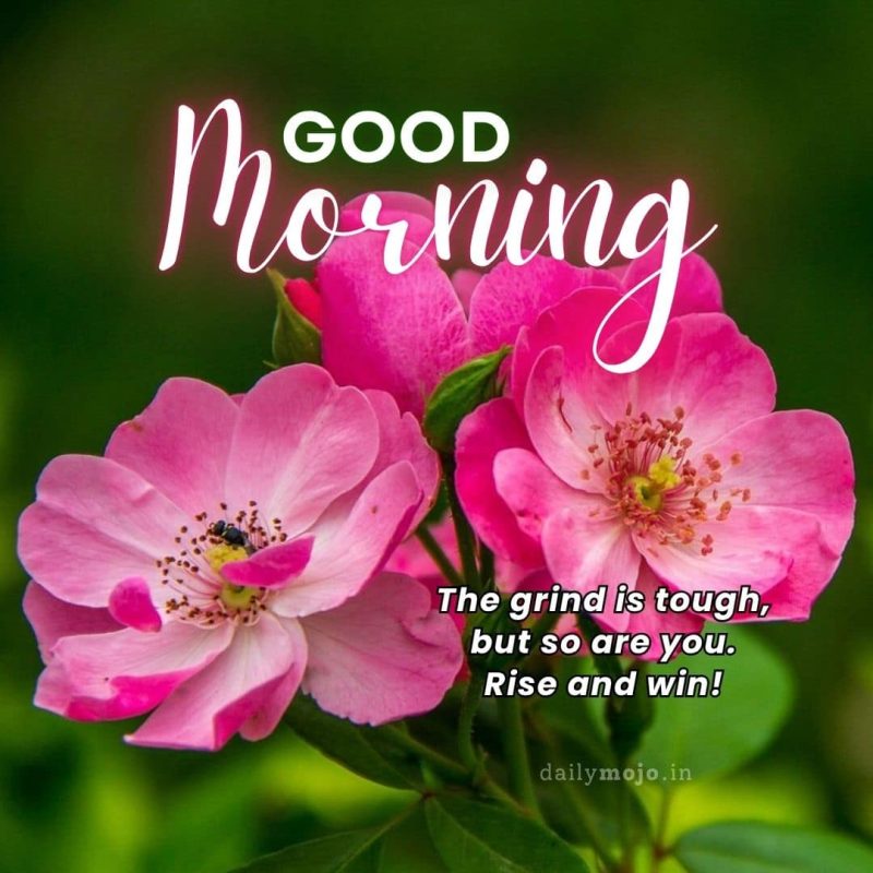 Good morning! The grind is tough, but so are you. Rise and win!