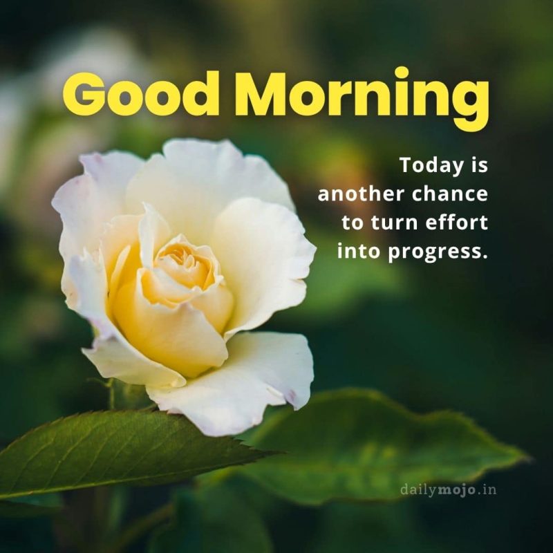 Good morning! Today is another chance to turn effort into progress.