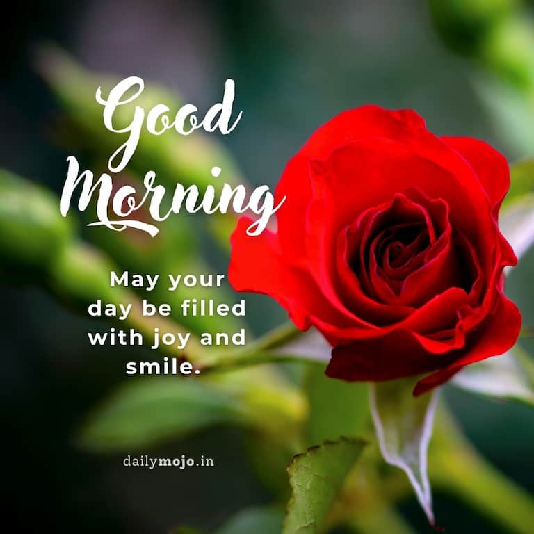 May your day be filled with joy and smile. Good Morning