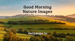 Good Morning Nature Images: Beautiful HD Pics With Quotes