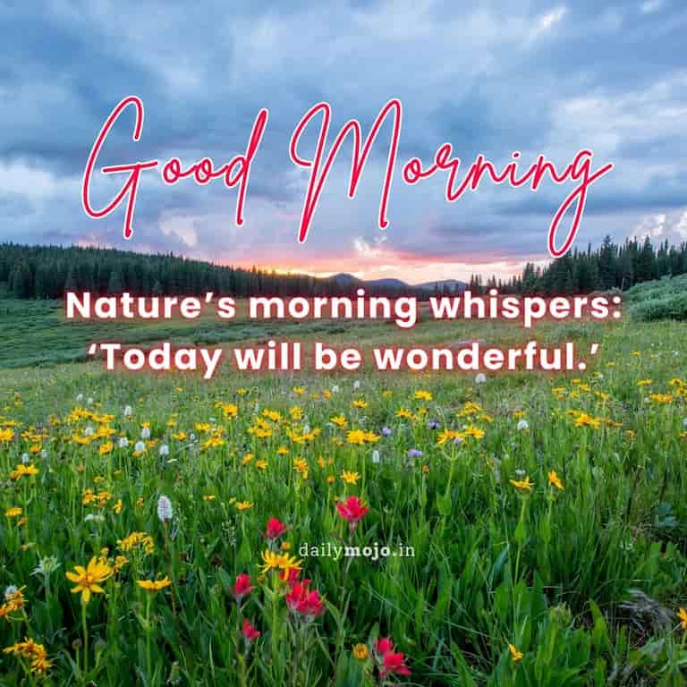 Nature's morning whispers: 'Today will be wonderful.