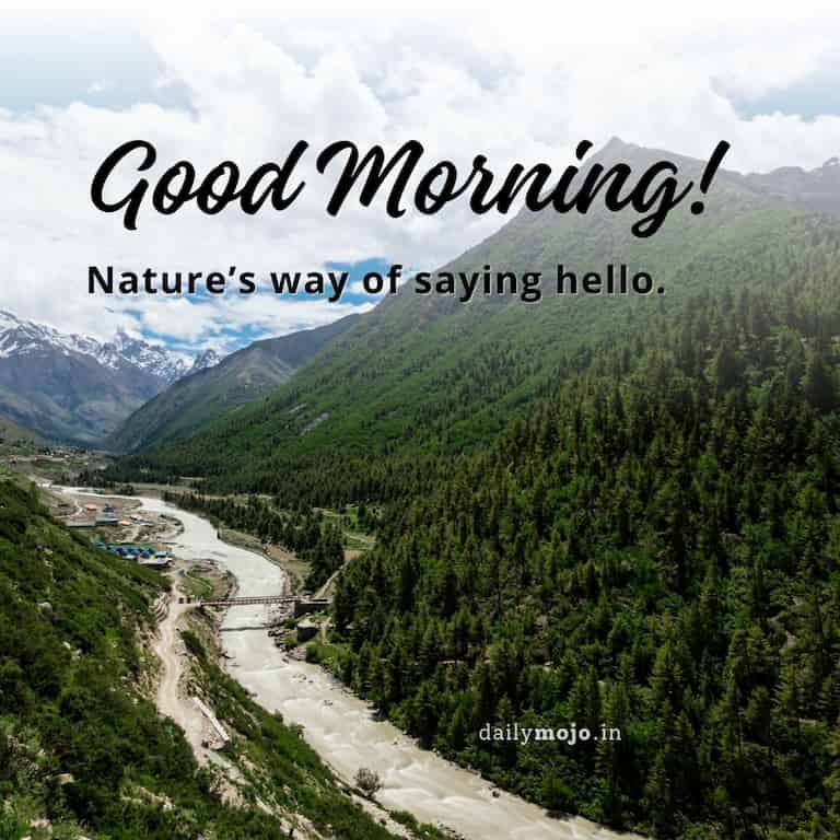 Good morning! Nature’s way of saying hello.