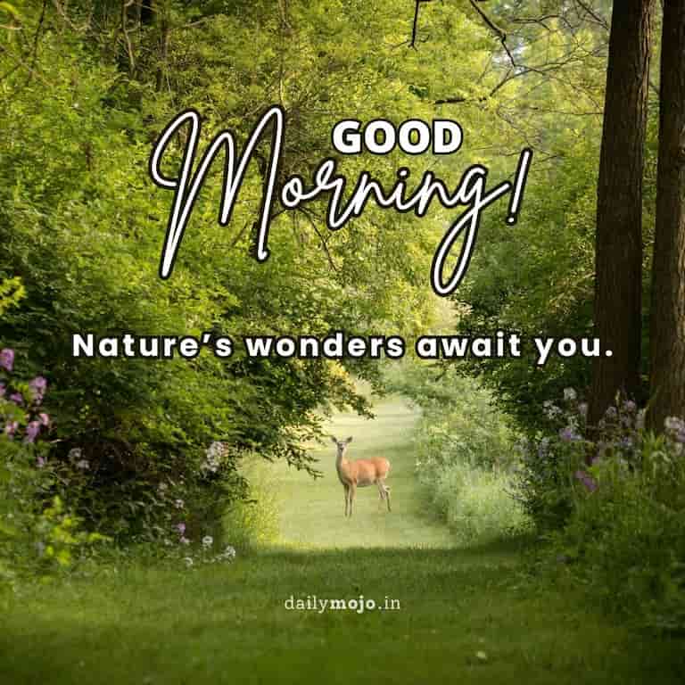 Good morning! Nature's wonders await you.