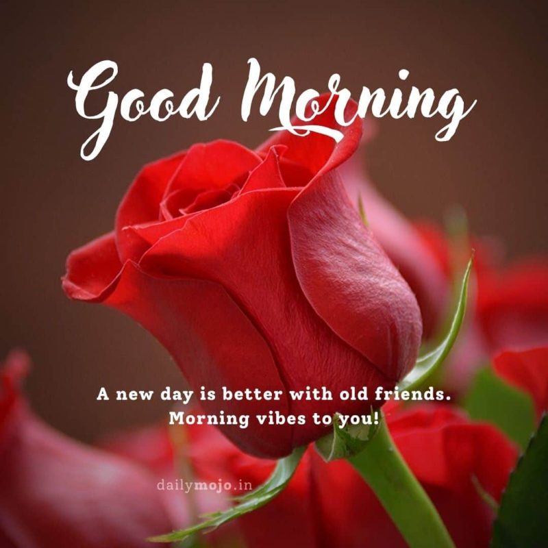 A new day is better with old friends. Morning vibes to you!