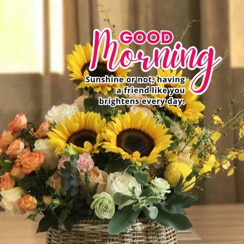 Sunshine or not, having a friend like you brightens every day. Good morning!