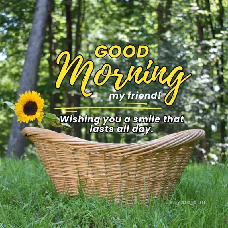 Wishing you a smile that lasts all day. Good morning, my friend!