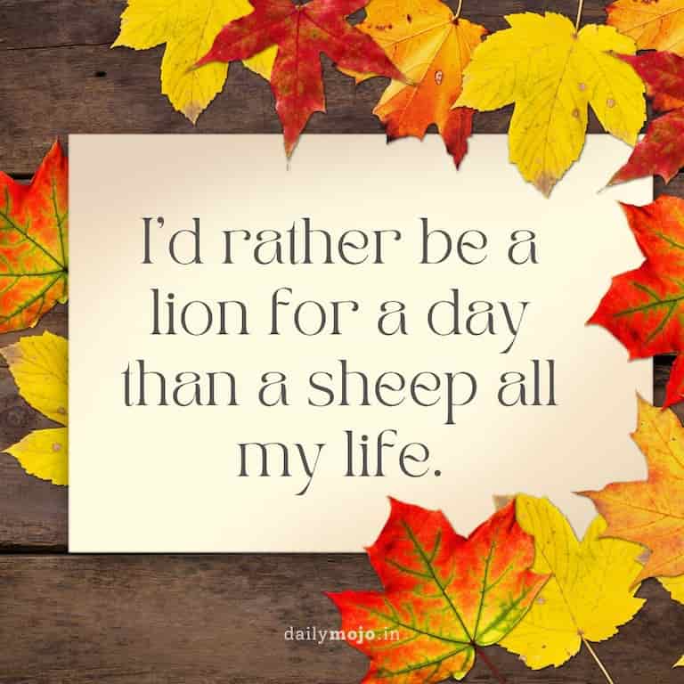 I'd rather be a lion for a day than a sheep all my life