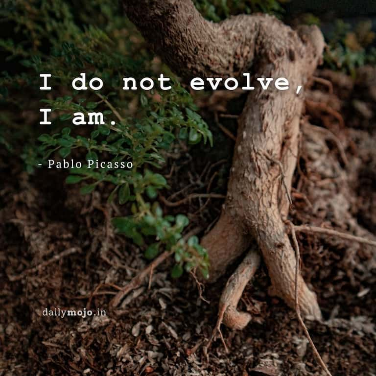 I do not evolve, I am