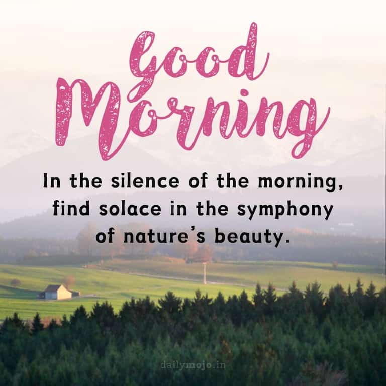 In the silence of the morning, find solace in the symphony of nature's beauty. Good morning.