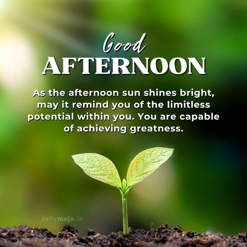 As the afternoon sun shines bright, may it remind you of the limitless potential within you. You are capable of achieving greatness