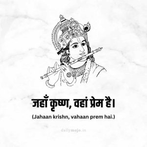 Krishna bio ideas in Hindi for WhatsApp profile