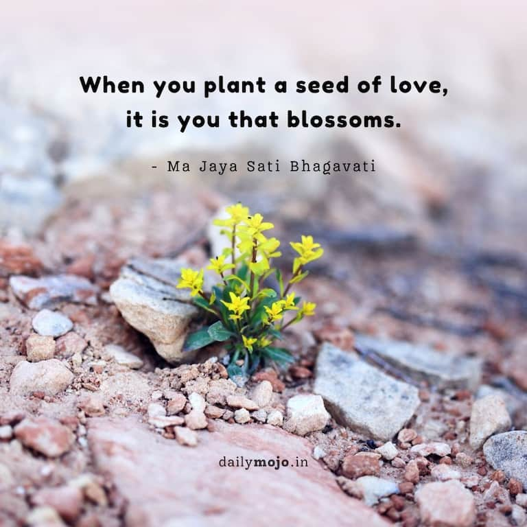 When you plant a seed of love, it is you that blossoms