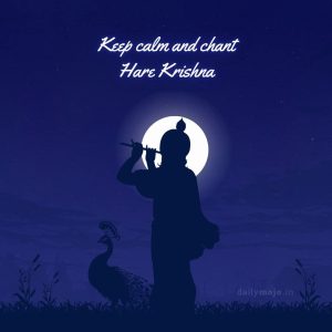 Lord Krishna WhatsApp bio in English text