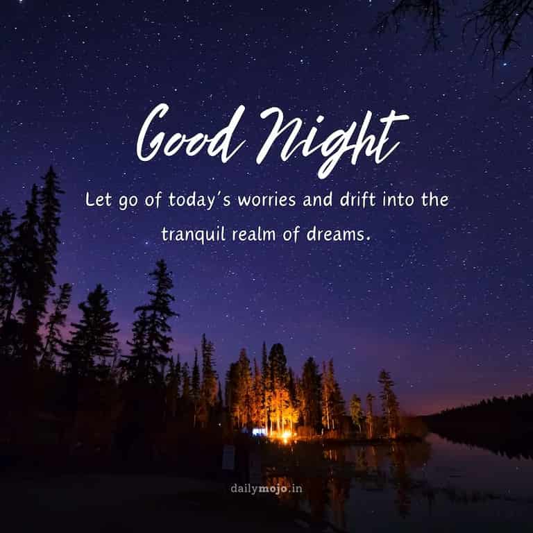 "Let go of today's worries and drift into the tranquil realm of dreams. Wishing you a restful night.