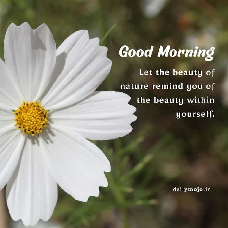 Let the beauty of nature remind you of the beauty within yourself. Good morning!
