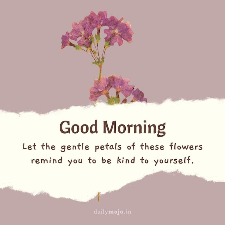 Let the gentle petals of these flowers remind you to be kind to yourself. Good morning!
