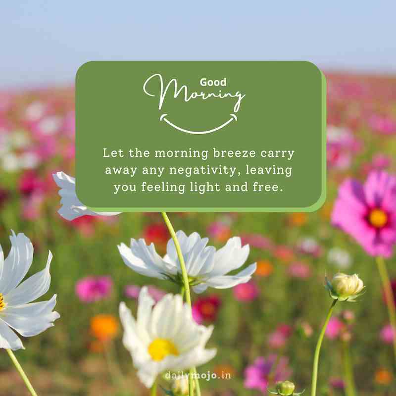 Let the morning breeze carry away any negativity, leaving you feeling light and free. Good morning!