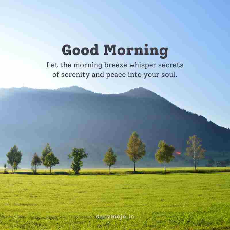 Let the morning breeze whisper secrets of serenity and peace into your soul. Good morning!