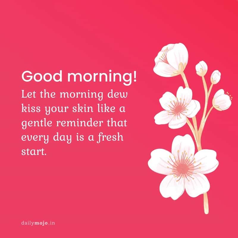 Let the morning dew kiss your skin like a gentle reminder that every day is a fresh start. Good morning!