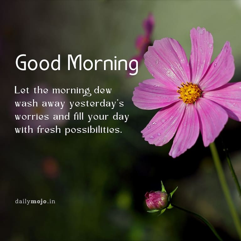 Let the morning dew wash away yesterday's worries and fill your day with fresh possibilities. Good morning